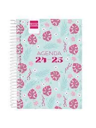 Agenda Finocam Cool 1/8 Dp 24/25 Selva