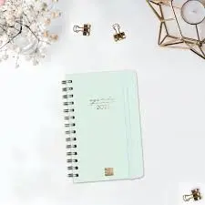 Agenda Alma E5 Sv 2025 Menta+