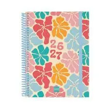 Agenda Finocam 26-27 1/4 Svh Diva Spring