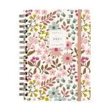 Agenda Finocam 2027 E10 Svh Moniquilla