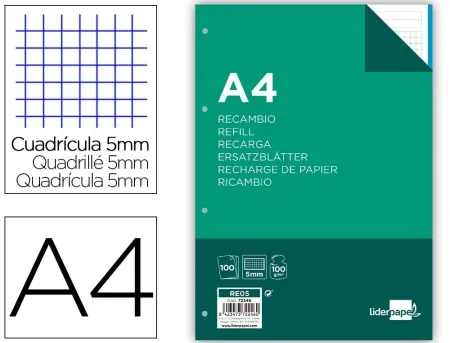 Recambio Liderpapel A4 100H 100G/M2 Cuadro 5Mm 4 Taladros Bandas de 5 Colores