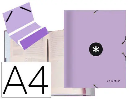 Carpeta Liderpapel Antartik Clasificadora 12 A4 Departamentos Gomas Carton Forrado Color Violeta