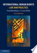 International Human Rights Law And Practice