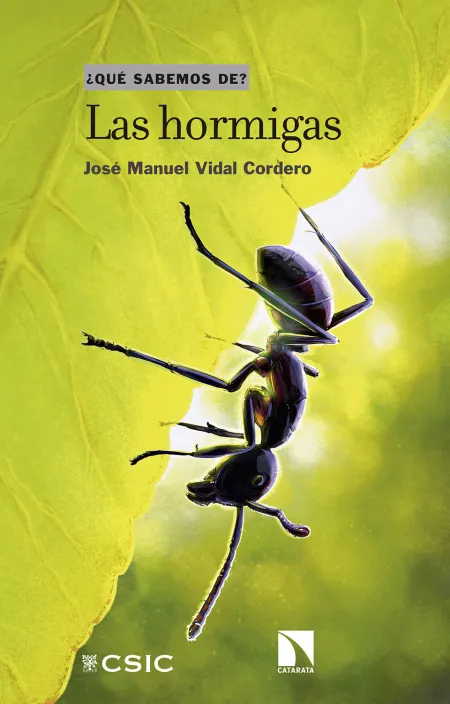 Las Hormigas