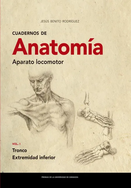 Cuadernos de Anatomía. Aparato Locomotor