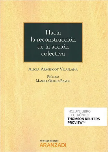 Hacia la Reconstruccion de la Accion Colectiva Duo