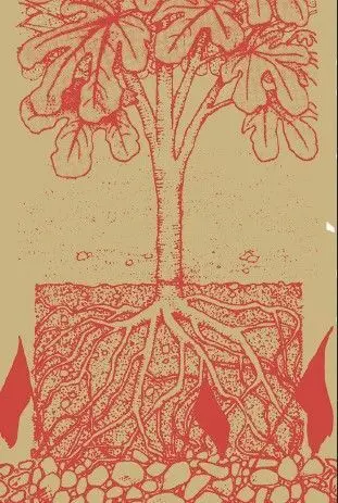 Autonomía y Subsistencia