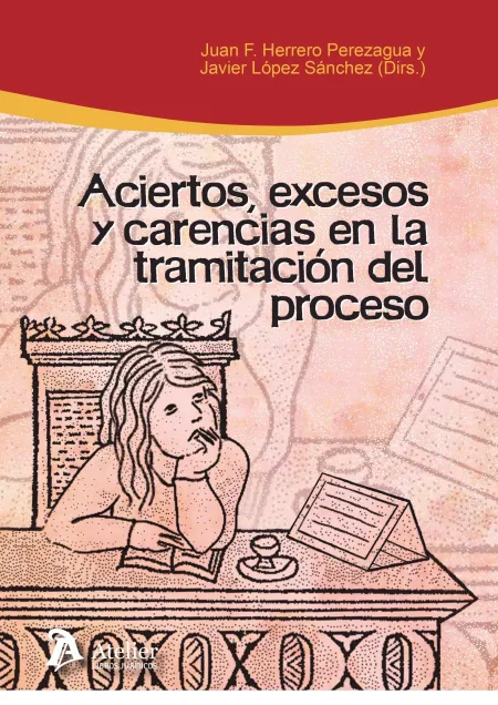 Aciertos, Excesos y Carencias en la Tramitacion del Proceso