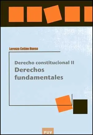 Derecho Constitucional Ii