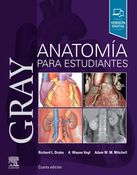 Gray. Anatomía para Estudiantes (4ª Ed. )