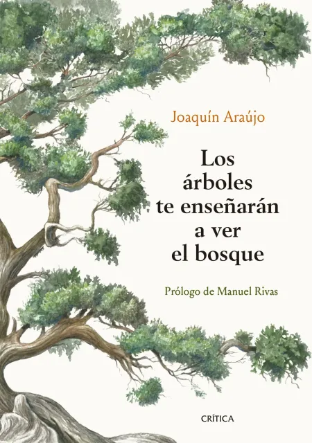 Los Árboles te Enseñarán a Ver el Bosque