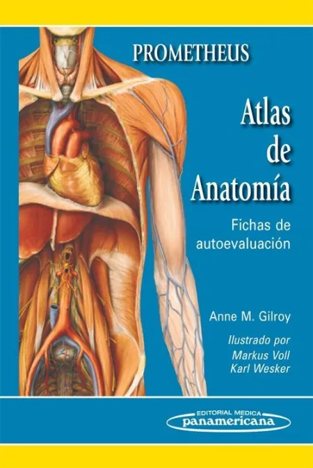 Gilroy:atlas Anatom?A. Fichas Autoeval.
