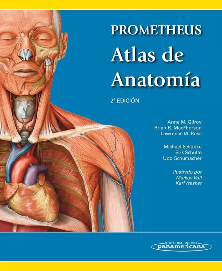 Gilroy: Prometheus. Atlas Anatomia 2Aed