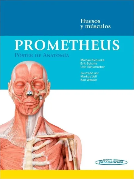 Prometheus:poster Anatomia. huesos-Musc.