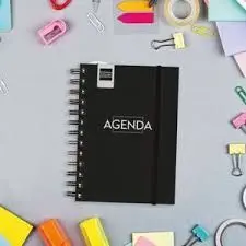 Agenda Finocam Mini 1/8 Dp 24/25 Negro Cat