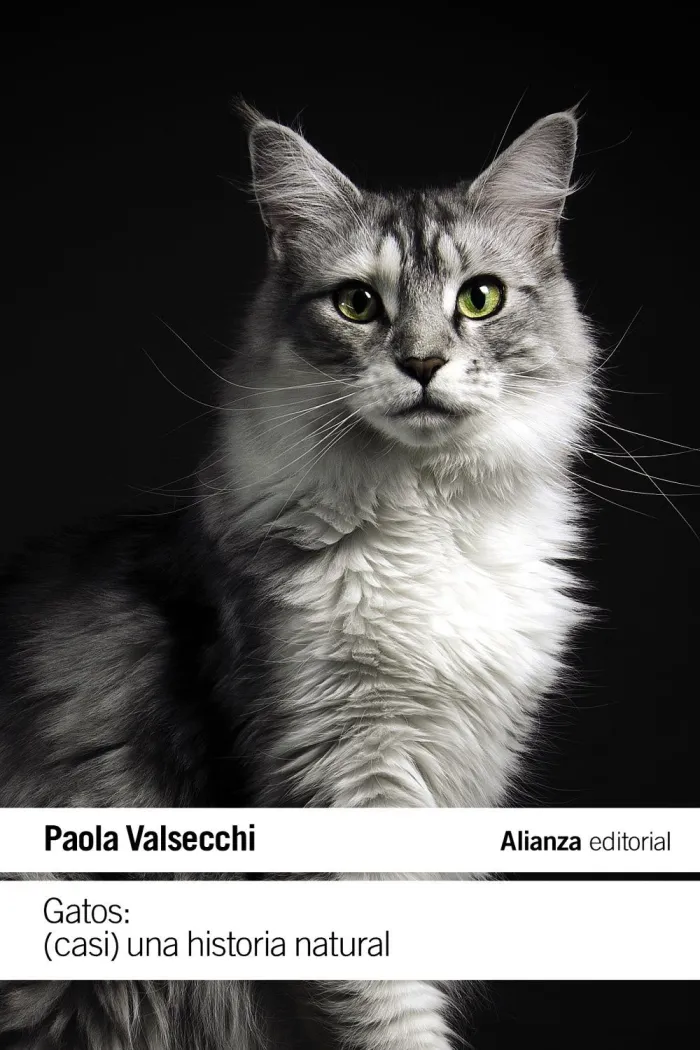 Gatos: (Casi) una Historia Natural