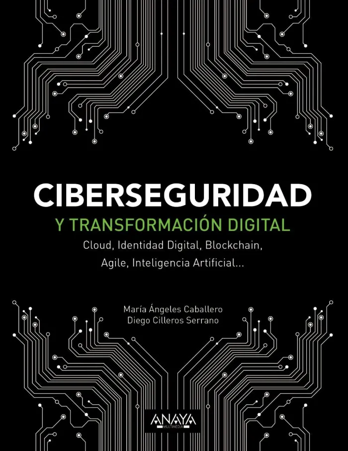 Ciberseguridad y Transformación Digital