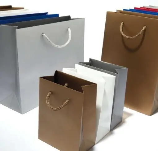 Bolsa Papel con Cordon Superior Plata 28X19X9 cm